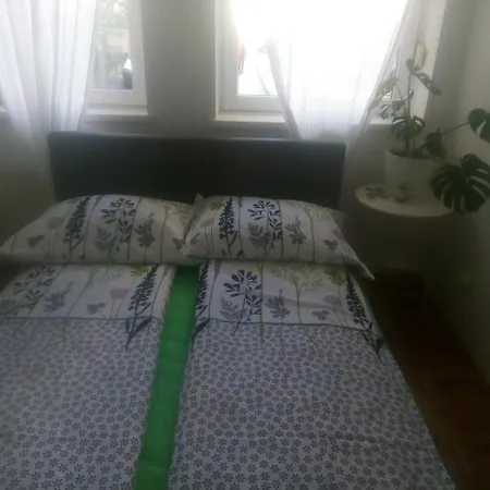 Apartment Ivana Center