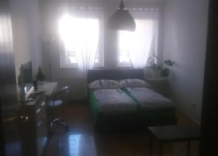 Apartamento Ivana Center *