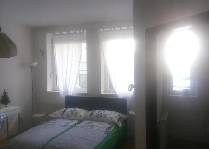 Ivana Center Apartamento *